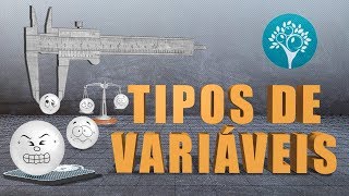 Tipos de variáveis  qualitativas e quantitativas [upl. by Yatnoed]