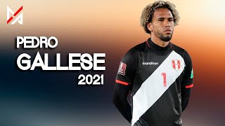 Pedro Gallese  Mejores Atajadas  Selección Peruana  El Pulpo  2021  MPHD™ [upl. by Minnie106]