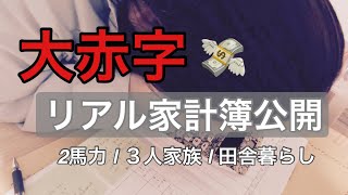 【家計簿公開】3月の家計簿  ３人家族  子育て世代の家計簿術  ３人分の支出を管理をするコツ【赤字】 [upl. by Azaria]