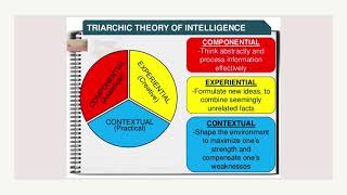 The Triarchic Theory of Intelligence [upl. by Naesar294]