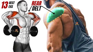 13 BEST REAR DELTOID EXERCISES WITH DUMBBELLS BARBELL CABLE ONLY AT GYM [upl. by Astrahan937]