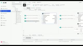 Ilums Data Lineage Complete Visibility [upl. by Aihsekal426]