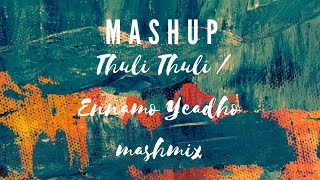 Mashup  Thuli Thuli  Ennamo Yeadho mashmix [upl. by Crescin224]