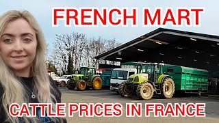 CATTLE MART AND PRICES IN FRANCE [upl. by Razal117]