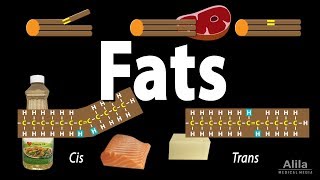 Unsaturated vs Saturated vs Trans Fats Animation [upl. by Ahsimaj917]