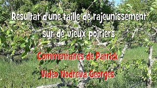 Taille des arbres fruitiers  Vos arbres retrouvent leur jeunesse [upl. by Wales]