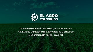 EL AGRO CORRENTINO TV [upl. by Uah]