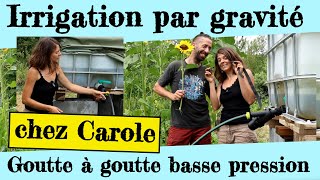 Le goutte à goutte basse pression de Carole Arrosage par gravité [upl. by Ellerrehs819]