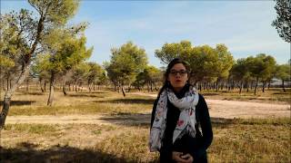 Impacts agroenvironnementaux de l’irrigation des systèmes cultivés sur le plateau de Valensole [upl. by Oringa]