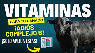 LAS MEJORES VITAMINAS PARA GANADO 🐂💉  ✅NO PUEDEN FALTAR EN TU GANADERÍA ✅ [upl. by Twyla]