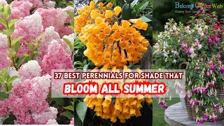 37 Best Perennials for Shade That Bloom all Summer [upl. by Columbus]