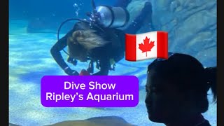 Dive Show At Ray Bay Ripley’s Aquarium Part2 [upl. by Asyla]