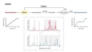 BAGO  Bayesian optimization of LC gradient for untargeted chemical analysis 3min explanation [upl. by Finella]