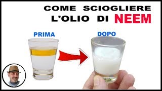 SCIOGLIERE LOLIO DI NEEM con un prodotto BIOLOGICO [upl. by Jabez117]