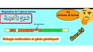 فيديوا يشرح مبدأ عمل lopéron lactose🤔هام جدااا⁦⚠️⁩ [upl. by Oicatsana520]