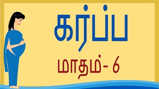 Pregnancy  Tamil  Month by Month  Month 6  கர்ப்பம் மாதம் 6  Week 21 to Week 24 [upl. by Lasonde]