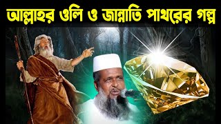 আল্লাহর ওলি ও জান্নাতের পাথরের গল্প । তোফাজ্জল হোসেন ভৈরবী । tofazzal hossain bhairovi  Bangla Waz [upl. by Terrene]