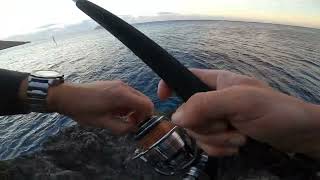 SHORE JIGGING FIRST TEST ZENAQ DEFI MUTHOS ACCURA 95H 30230grJIG 80GR zenaq accura95h [upl. by Japeth]