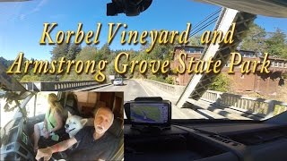 cTv Korbel Vineyards and enjoying cool Armstrong Redwood Grove State Park [upl. by Gold]