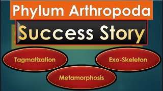 Phylum Arthropoda Success Story Lessons for Humans [upl. by Tana]