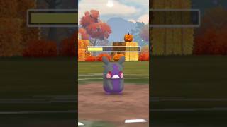 When I used Morpeko in battle with form change 😳 Pokemon go [upl. by Eittel]