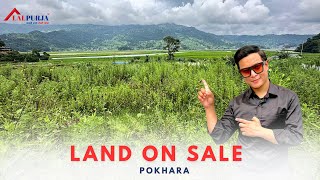 Land On Sale at Pokhara 22 Simle  Lalpurja Nepal [upl. by Cummine]