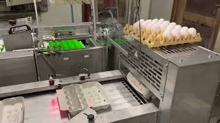 DAMTECH Optipack70 farmpacker traystacker  repacker for egg cartons [upl. by Adnirim611]