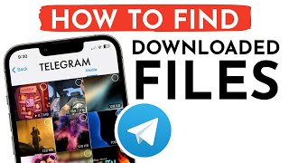 How to Find Downloaded Media Files on Telegram App on iPhone I How To Check Downloads on Telegram [upl. by Oicnedurp]