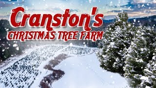 Cranstons Christmas Tree Farm [upl. by Calysta]