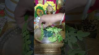 Maragatha lingam Abhishekam I Kodambakkam I 7550184324 [upl. by Brenner]