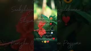 pavizha mazhaye WhatsApp status [upl. by Cyprian]