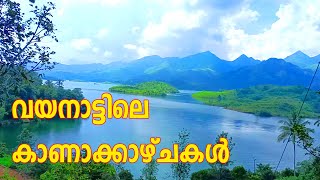 ഇത്രയേറെ സ്ഥലങ്ങൾ വയനാട്ടിലുണ്ടോ  Best Place to visit in Wayanad [upl. by Naujet]