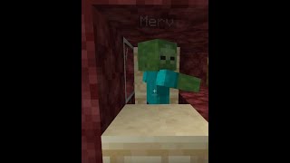 Merv better be here to stay in Minecraft e 23 [upl. by Llenahs]