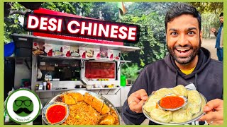 Desi Chinese Street Food in Rohini Delhi  Veggie Paaji Dilli ki Sardi [upl. by Drue]