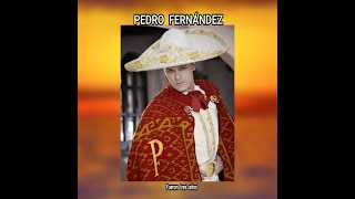 PEDRO FERNANDEZ  FUERON TRES AÑOS LETRA [upl. by Hulbert]