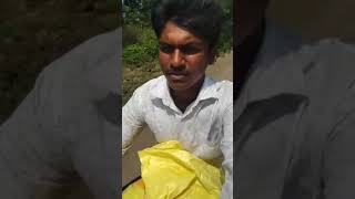 भैस ने नुकसान कर दिया😭😭shortvideominivlog suscribe to my channel [upl. by Ahtnicaj]