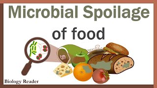 WEBINAR  Shelf Life Part 1 Microbial Food Spoilage [upl. by Gaudette]