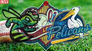 MYRTLE BEACH PELICANS VS AUGUSTA GREEN JACKETS LOW A LIVE GAME CAST amp CHAT [upl. by Einned]