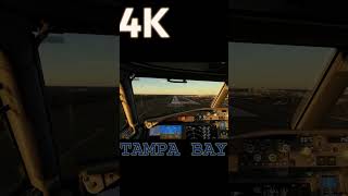 LANDING THE MAX KTPA mfs live americanair aviation msfs20 americanairlines flightsim [upl. by Beth142]