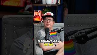 NICK SWARDSON ASKS THEO VON IF ELEPHANTS ARE GAY [upl. by Terza]