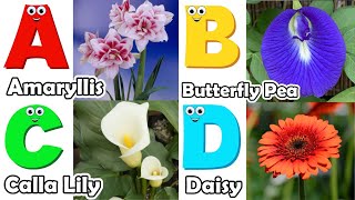 Flowers Alphabet Song  Flowers ABC Song  A to Z Flowers Names  Phonics for Kids [upl. by Frederique]