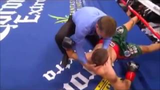 Fighter Gets KOd And Starts Convulsing Deontay Wilder [upl. by Belshin]