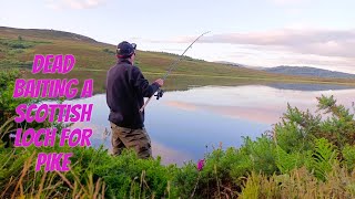 Scottish Highlands Pike fishing  Pike fishing UK [upl. by Auginahs600]