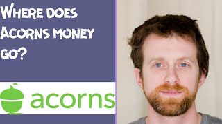 Where does Acorns money go [upl. by Yarehs]