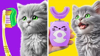 Take Care of Your Kitty 😻 Smart Hacks for Pet Owners [upl. by Denman]