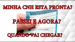 COMO SABER SE SUA HABILITAÇAO CNH ESTA PRONTA  COMPLETO [upl. by Cranford]