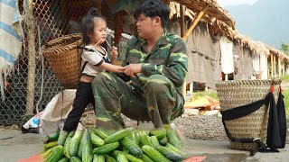 Father and son harvested the melon garden and brought it to the market to sell My difficult life [upl. by Mcgaw]