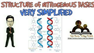 Simplified structure of nitrogenous bases l biomolecules l NCERT for NEET AIIMS and JIPMER [upl. by Leizo782]