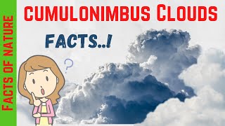 Cumulonimbus Clouds Facts [upl. by Ayom]