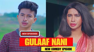 Gulaf गुलाफ Nani Comedy  AAjkal Ko Love  Jibesh Gurung  Kanchan  Feb2024  Colleges Nepal [upl. by Eltsyek572]